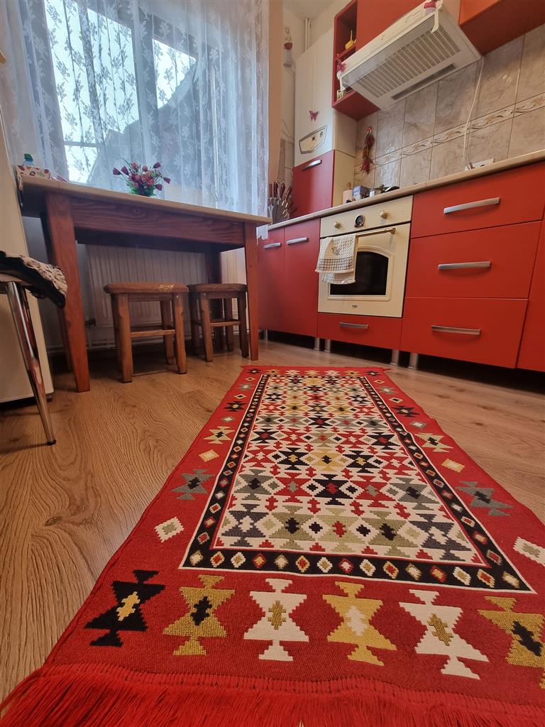 Casa individuala in Letcani