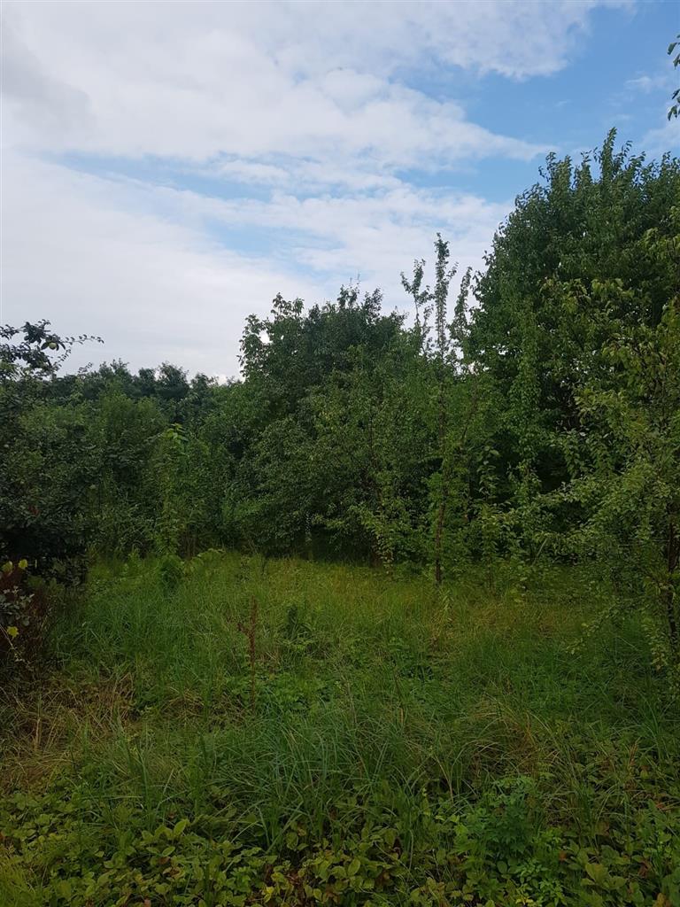 TEREN 2000 MP INTRAVILAN