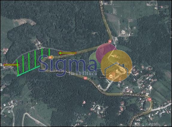 Teren de vanzare Bucium 5000mp