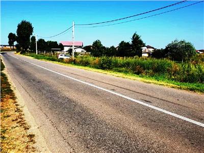 Teren intravilan de 10.000 m2 in zona Miroslava - Iasi